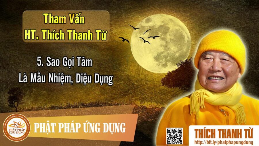 Sao Gọi Tâm Là Mầu Nhiệm, Diệu Dụng – Tham vấn HT Thanh Từ 5