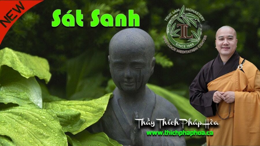 Sát Sanh Có Tội Không? - ĐĐ. Thích Pháp Hòa