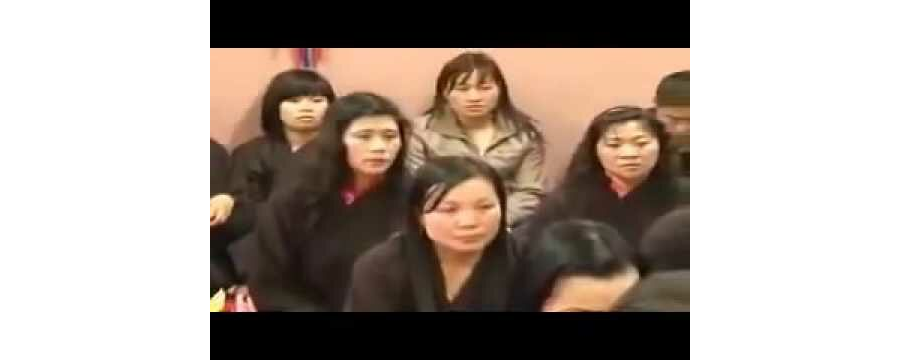 Sen Nở Trời Âu – Thích Chân Tính
