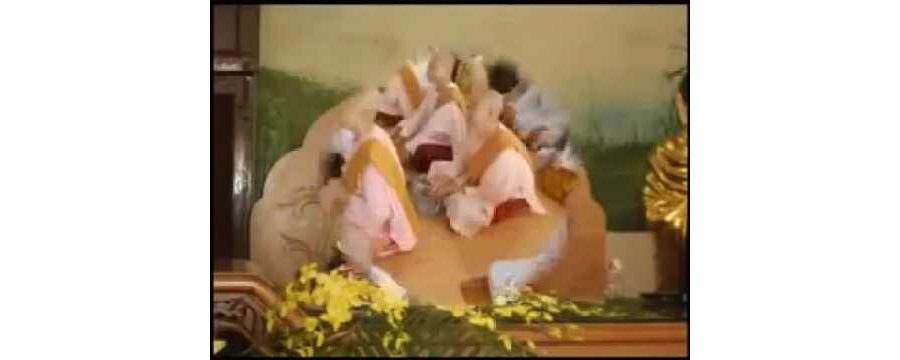 Sống Vui Sống Khỏe Sống Đẹp – TT Thích Bửu Chánh