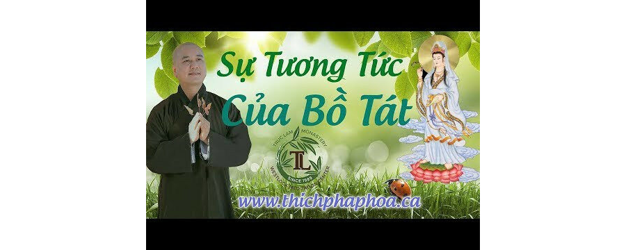 Sự Tương Tức Của Bồ Tát (Vấn Đáp) – Đại Đức Thích Pháp Hòa
