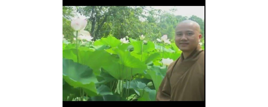 Taking Refuge Within Ourselves - ĐĐ. Thích Pháp Hòa