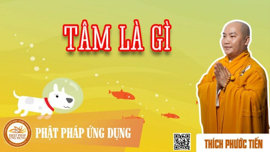Tâm Là Gì? – Thích Phước Tiến