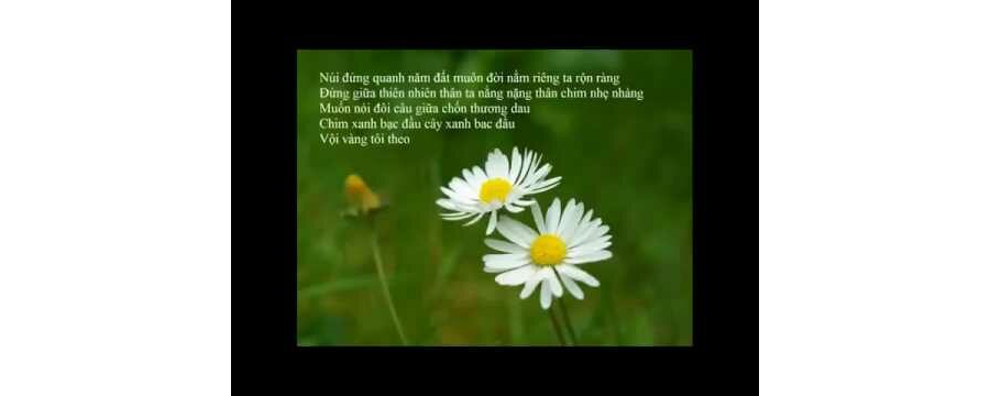 Tha Thứ – Thích Minh Niệm