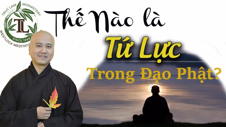 Thế nào là Tứ Lực Trong Đạo Phật? - ĐĐ. Thích Pháp Hòa