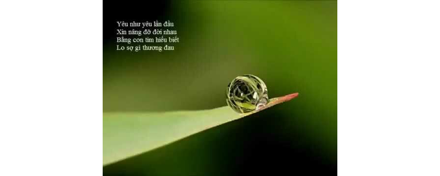 Thương Yêu Như Thế Nào Để Đem Lại Hạnh Phúc Cho Nhau – Thích Minh Niệm