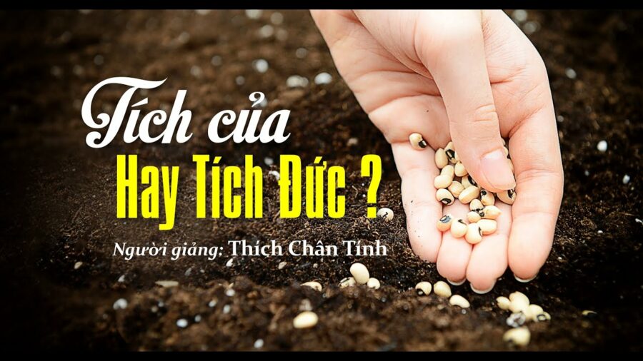 Tích Của Hay Tích Đức – Thích Chân Tính