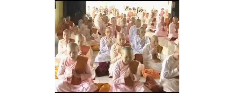 Tích Trữ Việc Lành – Thầy Thích Bửu Chánh