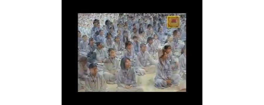 Tình Người – Thích Viên Trí