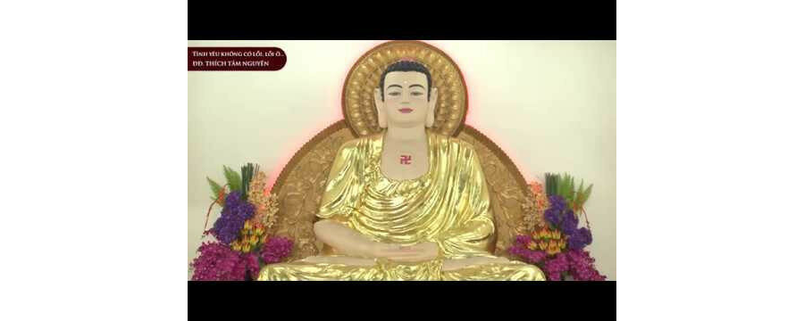 Tình yêu không có lỗi - Đại Đức Thích Tâm Nguyên