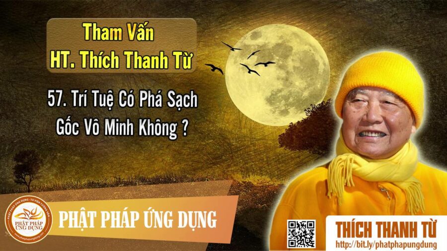 Trí Tuệ Có Phá Sạch Gốc Vô Minh Không – Tham vấn HT Thích Thanh Từ 57