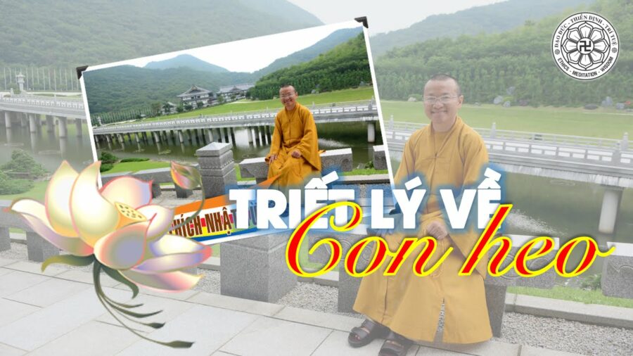 Triết lý về con heo – Thích Nhật Từ