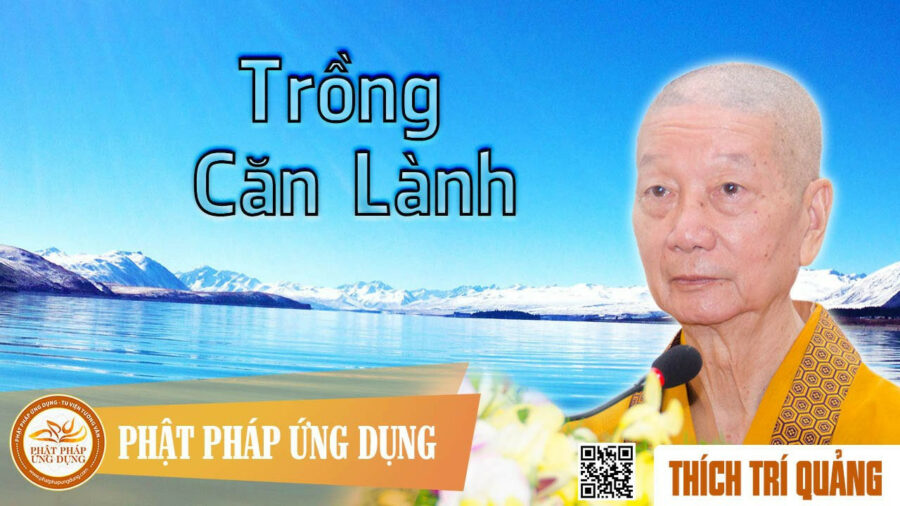 Trồng Căn Lành – Thích Trí Quảng