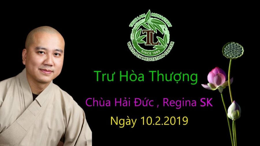 Trư Hoà Thượng - Thầy Thích Pháp Hòa