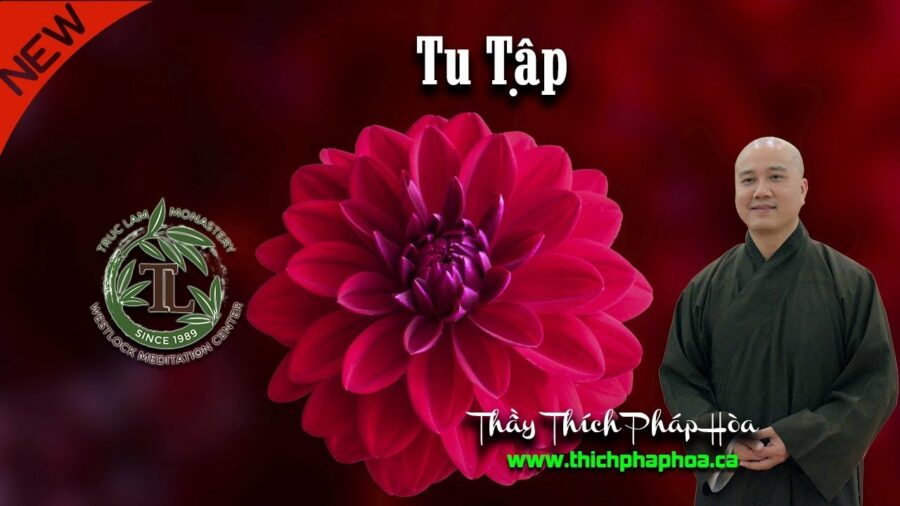 Tu Tập - Thầy Thích Pháp Hòa