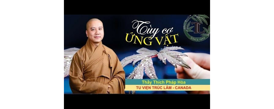 Tùy Cơ Ứng Vật – Đại Đức Thích Pháp Hòa