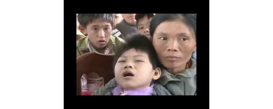 Vẫn Còn Hạnh Phúc – Thích Chân Tính