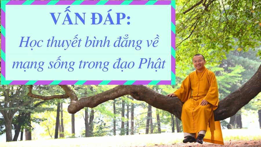 Vấn đáp: Bình đẳng về mạng sống, thực phẩm chay giả mặn – Thích Nhật Từ
