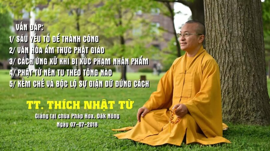 Vấn đáp: Cách Ứng Xử Khi Bị Xúc Phạm Nhân Phẩm – Thích Nhật Từ