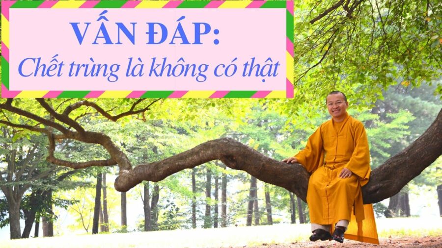 Vấn đáp: Chết trùng là không có thật – Thích Nhật Từ