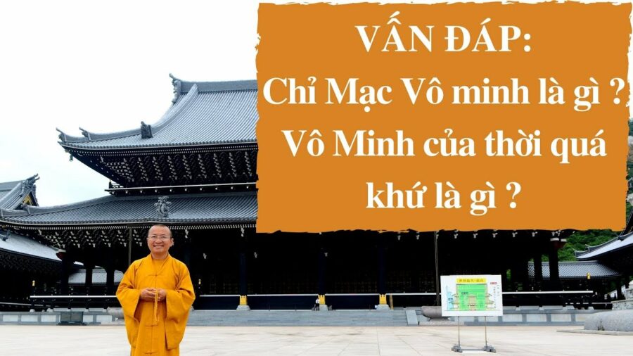 Vấn đáp: Chi mạc Vô minh – Thích Nhật Từ