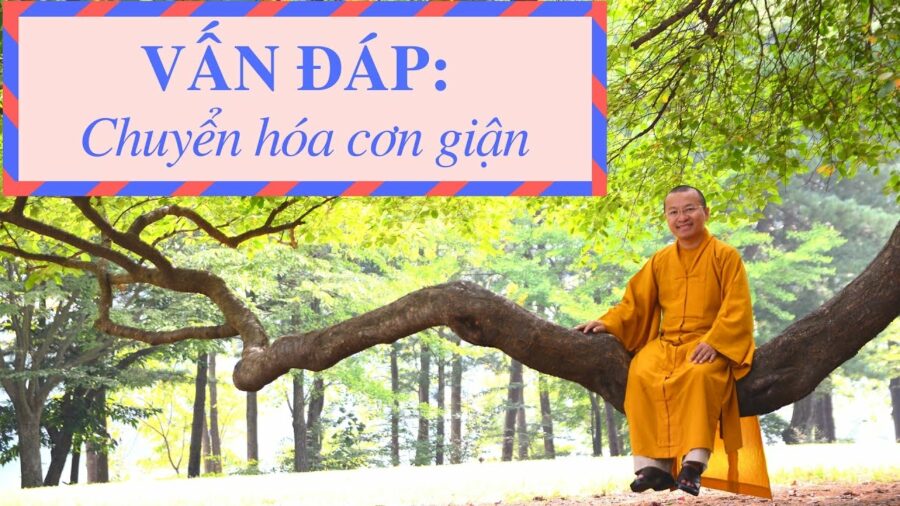 Vấn đáp: Chuyển hóa cơn giận – Thích Nhật Từ