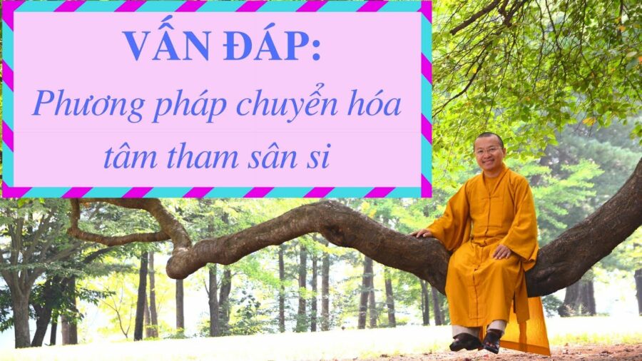 Vấn đáp: Chuyển hóa tham sân si – Thích Nhật Từ