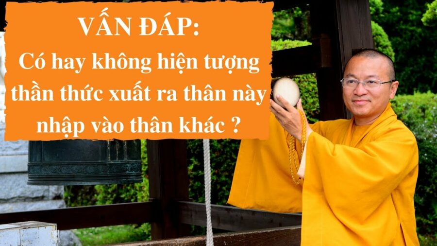 Vấn đáp: Có hay không hiện tượng thần thức xuất ra thân này nhập vào thân khác – Thích Nhật Từ