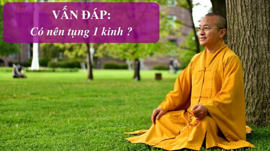 Vấn đáp: Có nên tụng 1 kinh (kinh Pháp Hoa, kinh Vô Lượng Thọ) – Thích Nhật Từ