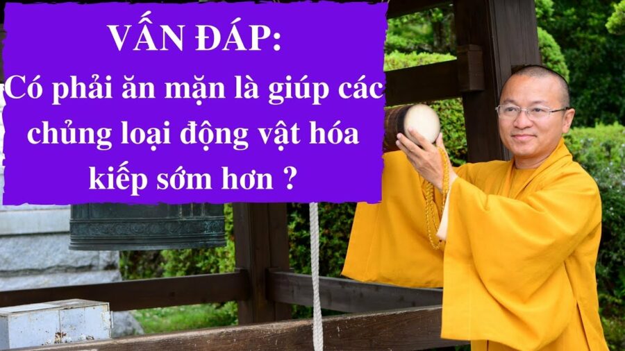 Vấn đáp: Có phải ăn mặn là giúp các chủng loại động vật hóa kiếp sớm hơn? – Thích Nhật Từ