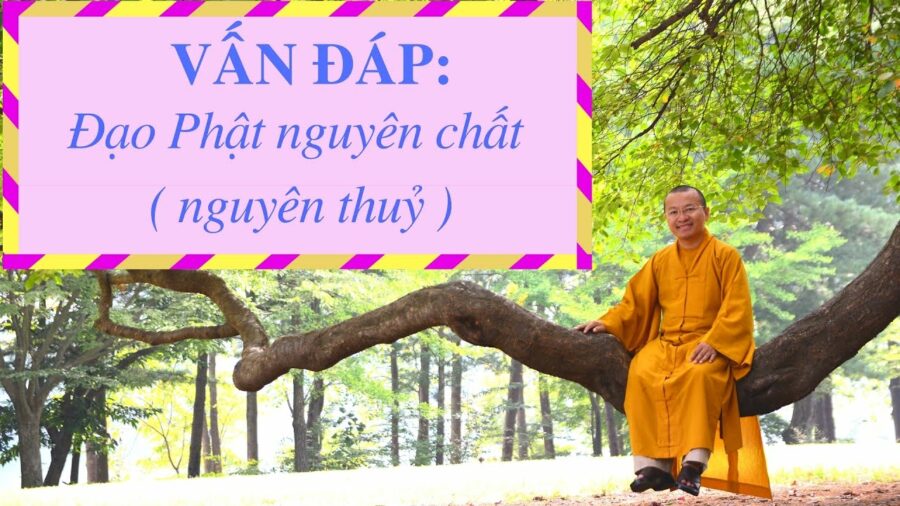 Vấn đáp: Đạo Phật nguyên chất ( nguyên thuỷ) – Thích Nhật Từ