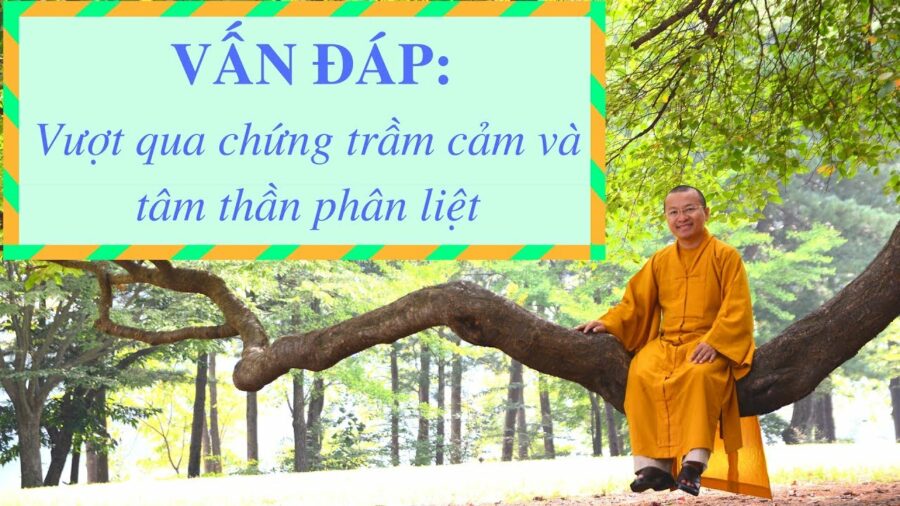 Vấn đáp: Dấu hiệu và vượt qua chứng trầm cảm, tự kỷ, tâm thần phân liệt – Thích Nhật Từ