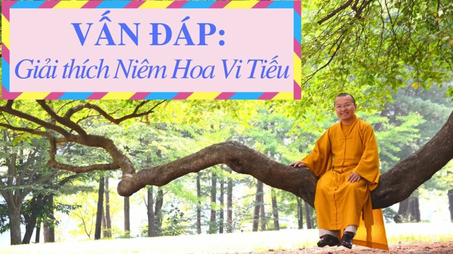 Vấn đáp: Giải thích ” Niêm Hoa Vi Tiếu ” – Thích Nhật Từ