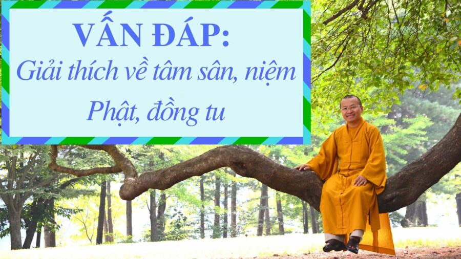 Vấn đáp: Giải thích về tâm sân, niệm Phật, đồng tu – Thích Nhật Từ
