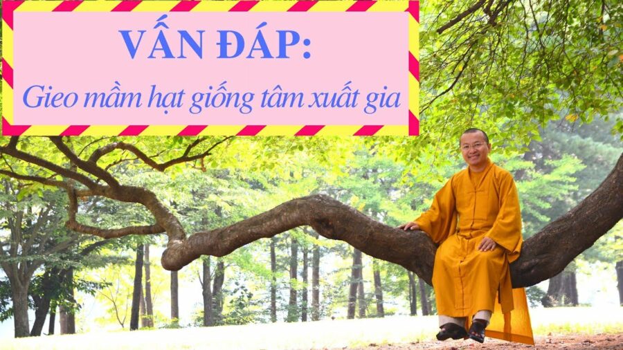 Vấn đáp: Gieo mầm hạt giống tâm xuất gia – Thích Nhật Từ