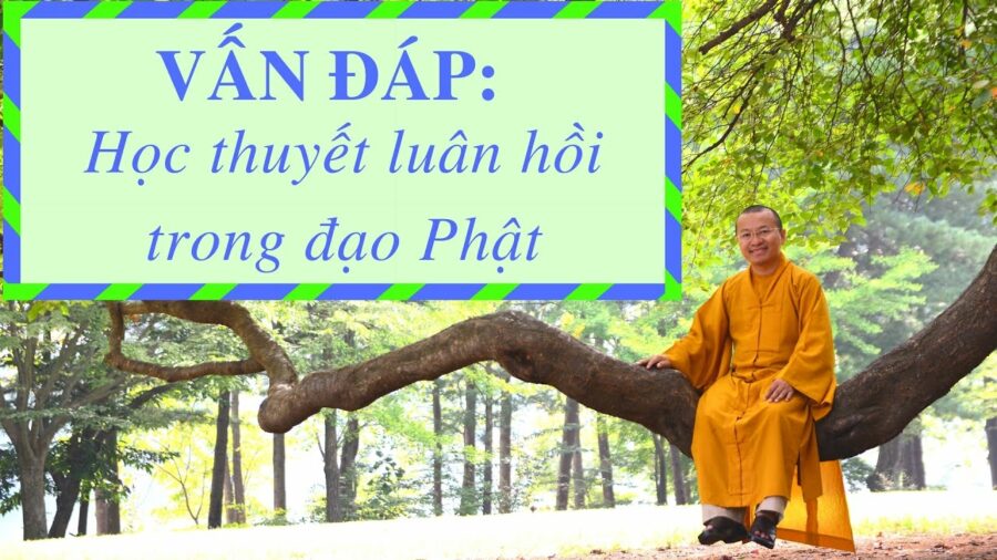 Vấn đáp: Học thuyết nhân quả luân hồi của Phật giáo – Thích Nhật Từ