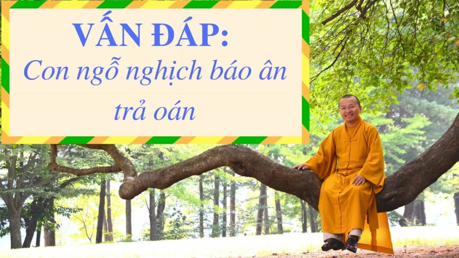 Vấn đáp: Hướng dẫn dạy con ngỗ nghịch, báo ân trả oán – Thích Nhật Từ
