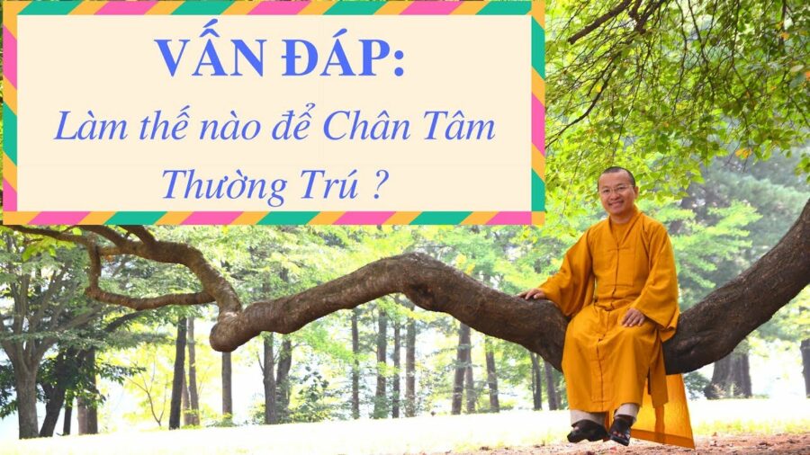 Vấn đáp: Hướng dẫn để “chân tâm thường trú” – Thích Nhật Từ