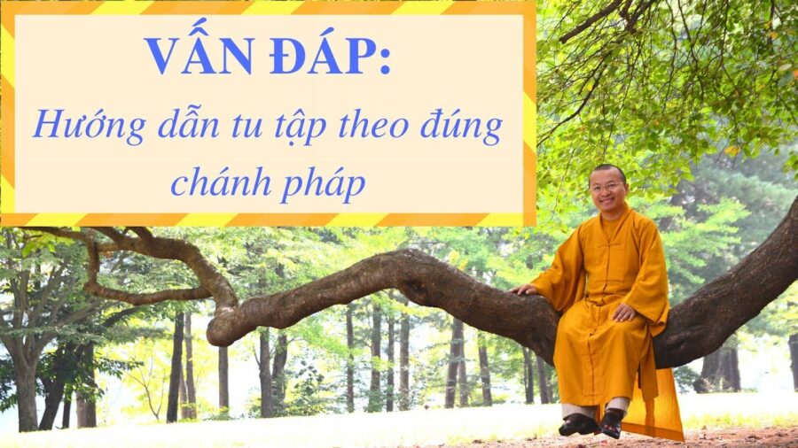 Vấn đáp: Hướng dẫn tu tập theo chánh pháp – Thích Nhật Từ