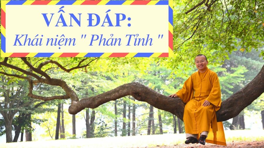 Vấn đáp: Khái niệm ” Phản Tỉnh ” – Thích Nhật Từ