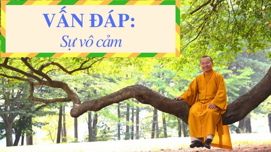 Vấn đáp: Khái niệm sự vô cảm – Thích Nhật Từ