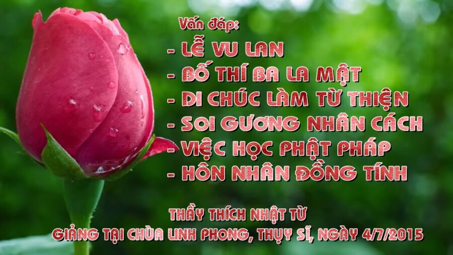 Vấn đáp: Lễ Vu Lan, bố thí ba la mật, di chúc làm từ thiện, soi gương nhân cách, việc học Phật pháp, hôn nhân đồng tính - Thích Nhật Từ
