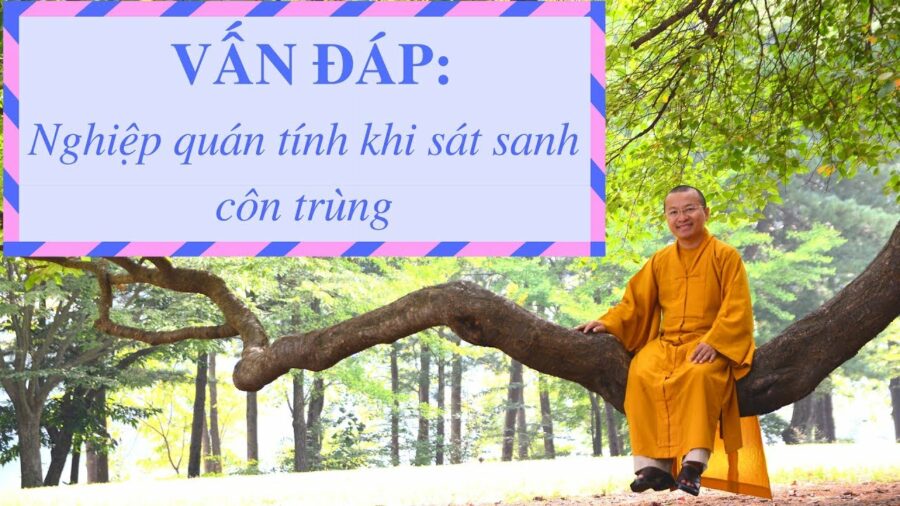 Vấn đáp: Nghiệp quán tính sát sanh côn trùng – Thích Nhật Từ