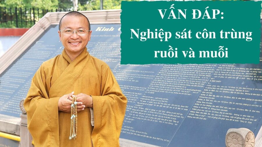 Vấn đáp: Nghiệp sát côn trùng (ruồi,muỗi) – Thích Nhật Từ