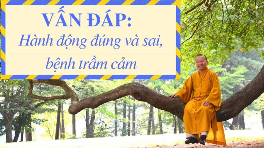 Vấn đáp: Nhận biết đâu là hành động đúng và sai, bệnh trầm cảm – Thích Nhật Từ