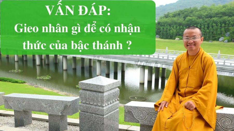 Vấn đáp: Những hiểu lầm về pháp môn quán thoại đầu – Thích Nhật Từ