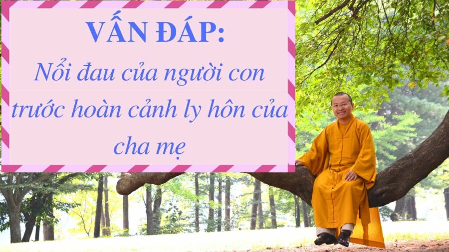 Vấn đáp: Nổi đau của người con trước hoàn cảnh ly hôn của cha mẹ – Thích Nhật Từ