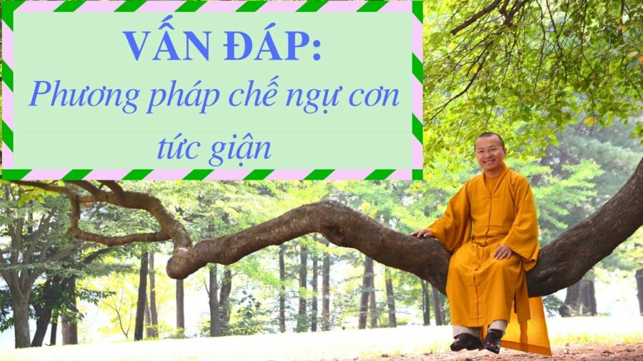 Vấn đáp: Phương pháp chế ngự cơn tức giận – Thích Nhật Từ