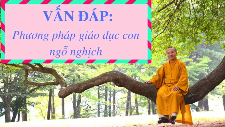 Vấn đáp: Phương pháp giáo dục con bướng bỉnh, ngỗ nghịch – Thích Nhật Từ