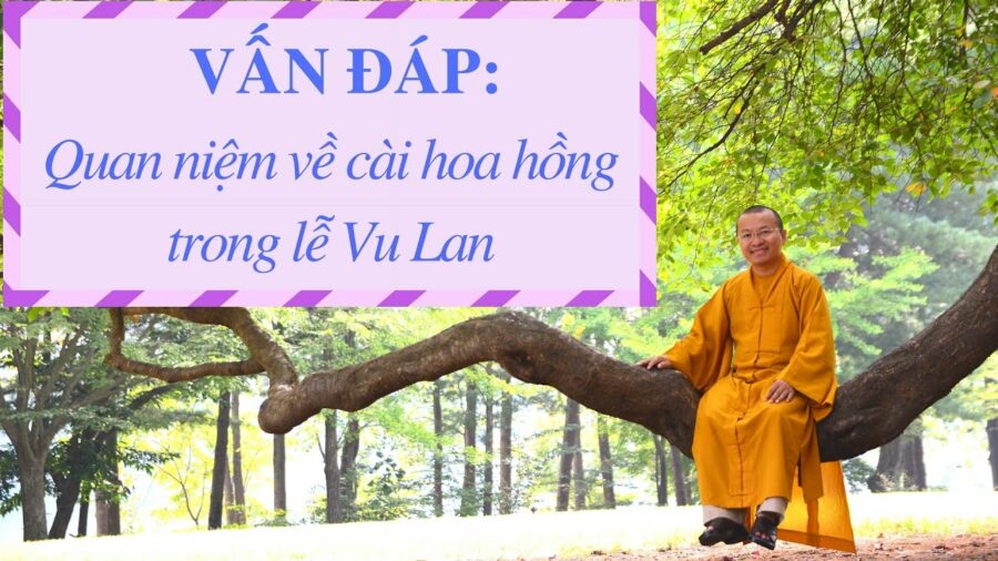 Vấn đáp: Quan niệm về cài hoa trong lễ Vu Lan – Thích Nhật Từ
